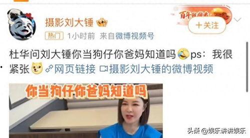 刘大锤爆料王字的视频,王字背后的惊人真相  第3张